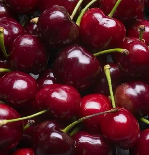تصویر 2 از قیمت خرید کنسانتره گیلاس + فروش ویژه